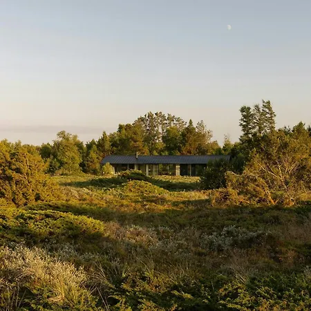 Architect Hideaway Between Heath & The North Sea Prázdninový dům