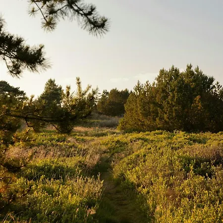 Architect Hideaway Between Heath & The North Sea